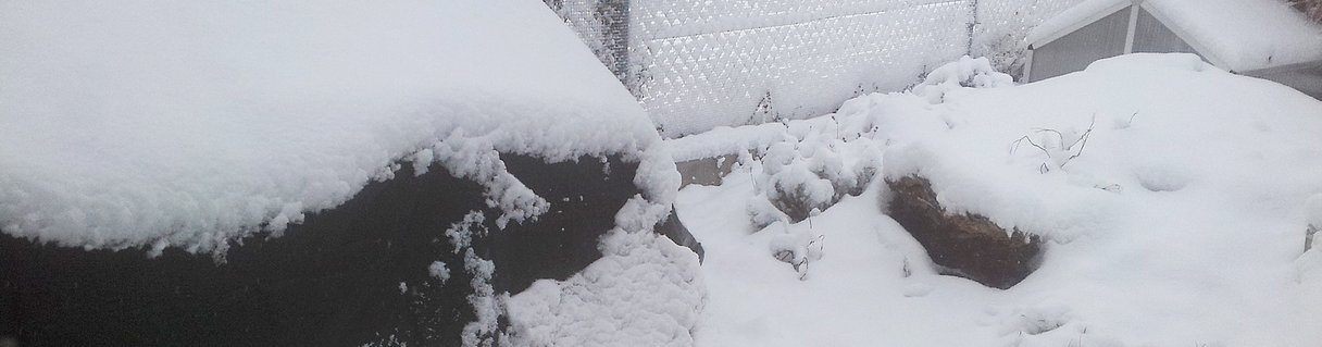 Frühbeet im Winter