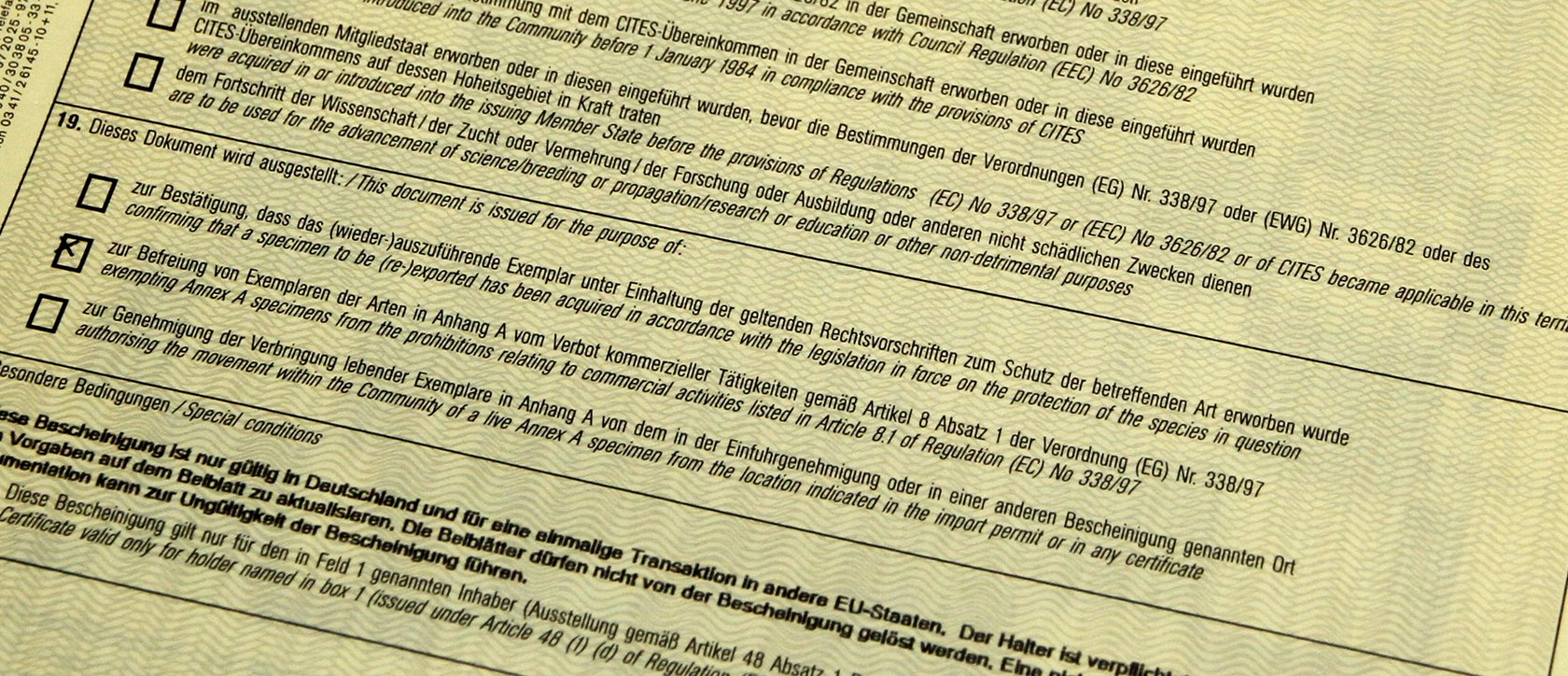 EU-Bescheinigung für Landschildkröten