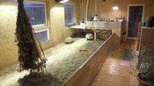 Haus für Spornschildkröten komplett eingerichtet